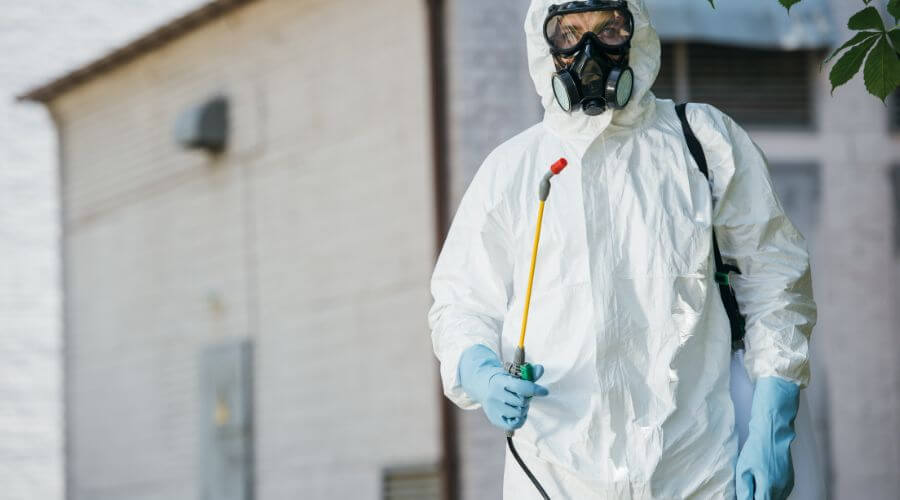 Professional commercial pest control services in Henderson